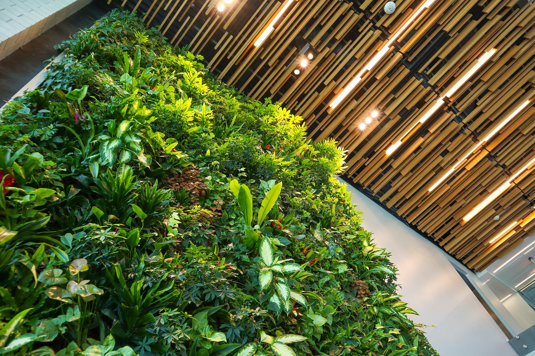 Cómo crear un jardín vertical o muro verde en casa