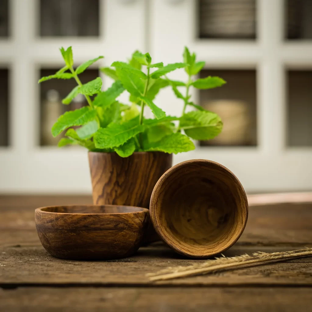 planta de menta maceta madera